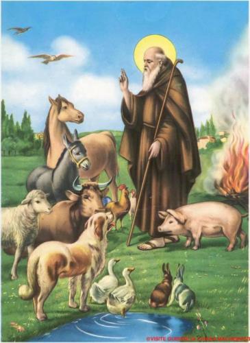 La Festa Di S. Antonio A Terra Del Sole - Castrocaro Terme E Terra Del Sole