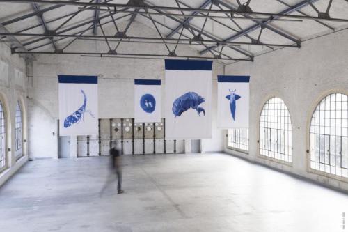 Forests - Experimenting A Torino - Torino