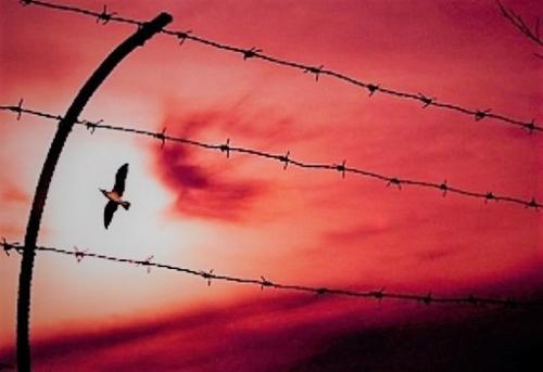 Giornata Della Memoria A San Damiano D'asti - San Damiano D'asti