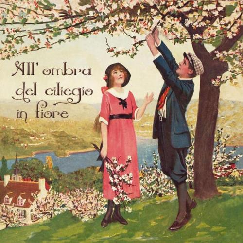 All'ombra Del Ciliegio In Fiore - Udine