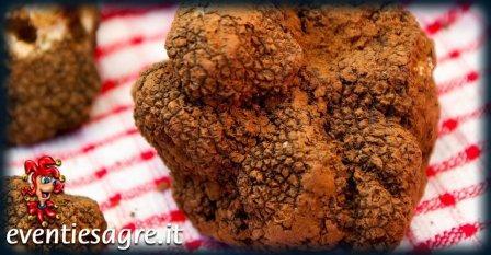 Mercato Settimanale Di Origgio - Origgio