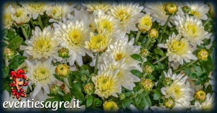 Mercato Settimanale Di Buscate - Buccinasco