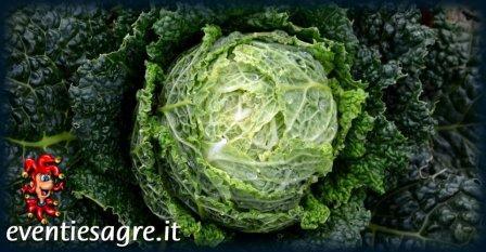 Mercato Settimanale Di Solaro - Solaro