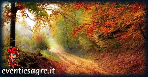 Festa D'autunno A Vacone - Vacone