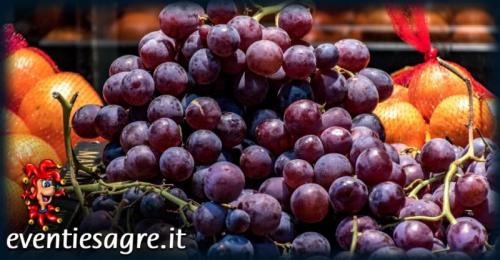 Mercato Settimanale Di Brenzone - Brenzone