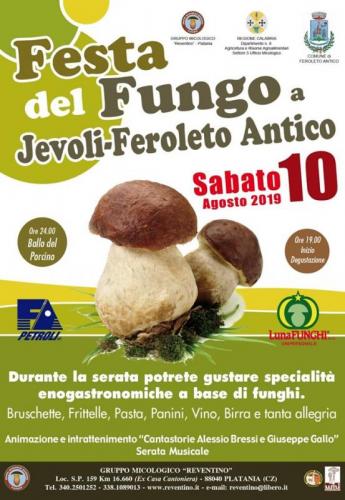 Festa Del Fungo A Feroleto Antico - Feroleto Antico
