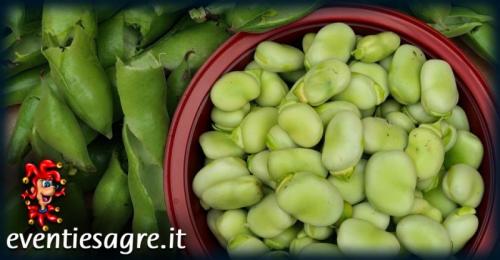 Sagra Delle Fave A Pauli Arbarei - Pauli Arbarei