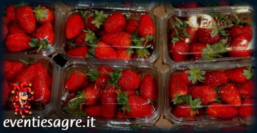 Mercato Settimanale Di Carbognano - Carbognano