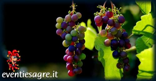 Mercato Settimanale Di Teglio Veneto - Teglio Veneto