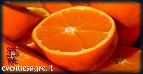 Mercato Settimanale Di Canaro - Canaro