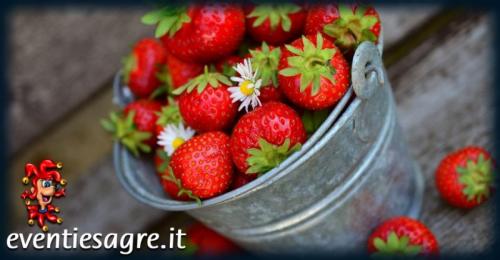 Mercato Settimanale Di Grignasco - Grignasco