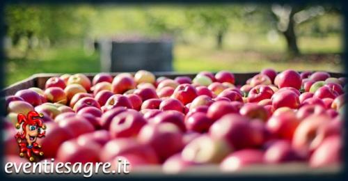 Mercati Settimanali A Aosta - Aosta