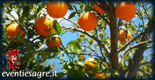 Mercati Settimanali A Cuneo - Cuneo