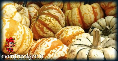 Mercati Settimanali A Torino - Torino