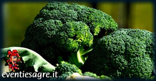 Mercato Settimanale Di Vigliano D'asti - Vigliano D'asti