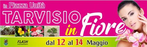 Tarvisio In Fiore - Tarvisio