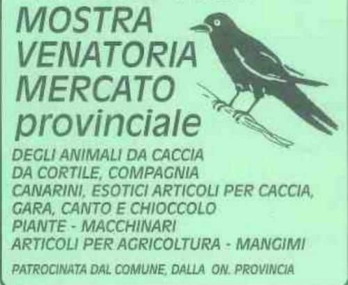 Mostra Venatoria A Diano Marina - Diano Marina