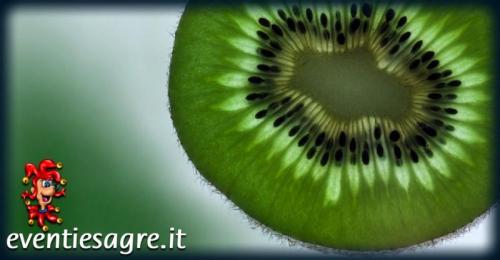 Mercato Settimanale Di Borghetto Santo Spirito - Borghetto Santo Spirito