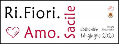 Il Mercato Florovivaistico A Sacile - Sacile