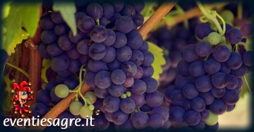 Mercato Settimanale Di Cuglieri - Cuglieri