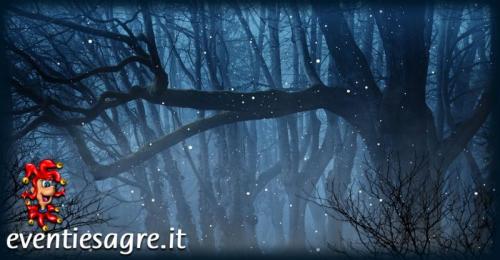 Visita Notturna A Argenta - Argenta