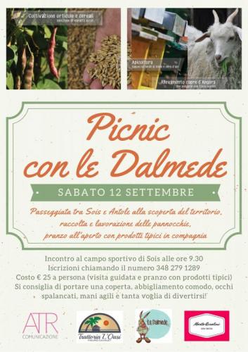 L'arte Del Pic Nic Tra Le Dolomiti - Belluno