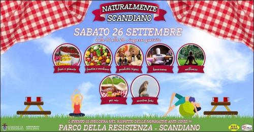 Mercato Naturalmente Scandiano - Scandiano