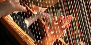 Musica In Villa Di Vico A Scandicci - Scandicci