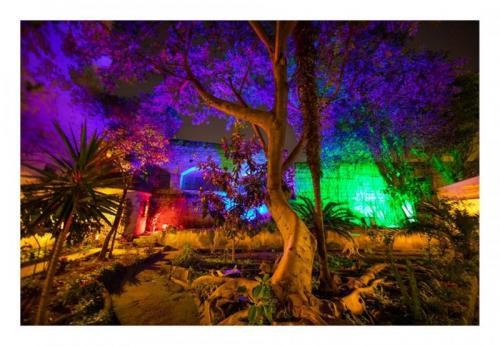 Aperitivo Artistico A Palazzo Venezia - Napoli