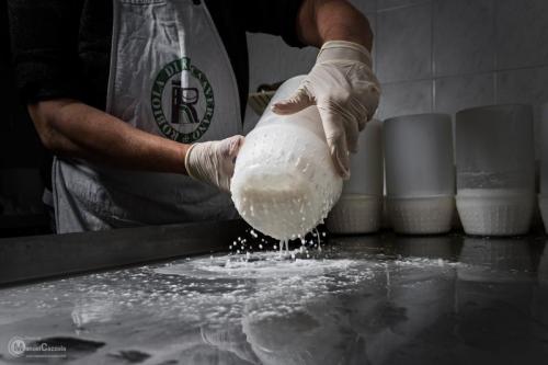 Robiola Di Roccaverano Dop In Piemonte - 