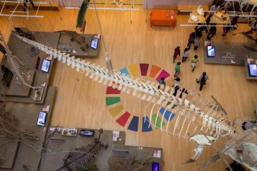 Festival Dello Sviluppo Sostenibile A Trento - Trento