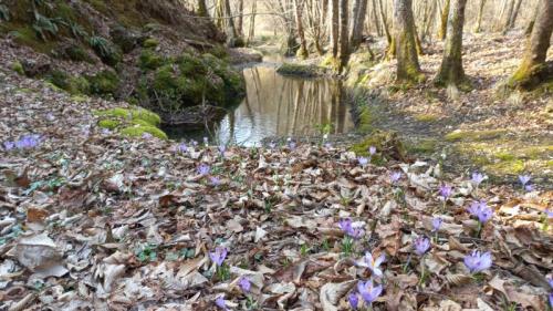 San Pietro Di Feletto Tra Torrenti, Boschi, Grotte E Vigneti - San Pietro Di Feletto