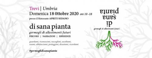 Di Sana Pianta - Germogli Di Allestimenti Futuri - Trevi
