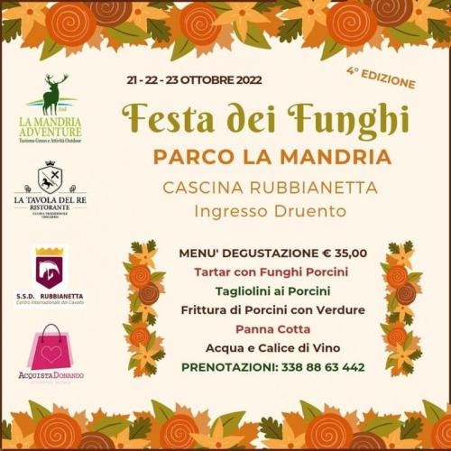 La Festa Dei Funghi Al Parco La Mandria - Druento