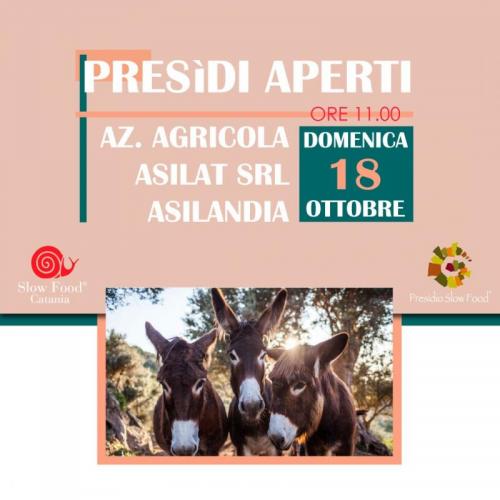 Presìdi Aperti A Catania - Milo