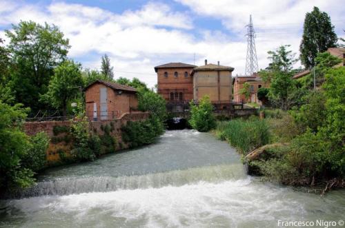 Giornata Nazionale Del Trekking Urbano A Bologna - Bologna