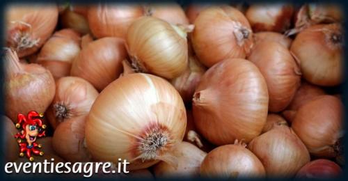 Il Mercato Contadino Di Guidonia Montecelio - Guidonia Montecelio