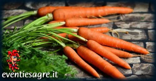 Il Mercato Contadino Di Monterotondo - Monterotondo