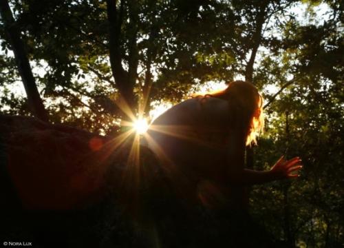 Nora Lux Al Parco Degli Acquedotti A Roma - Roma