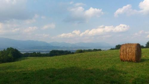 I Boschi Del Montello Dal Santuario All'osservatorio Del Re - Volpago Del Montello