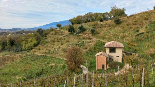 Le Incantevoli Colline Di Vidor - Vidor