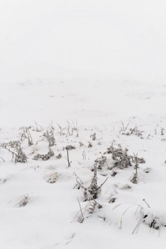 Personale Di Simone Cametti A Napoli - Napoli