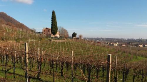 Panorami Suggestivi A Solighetto - Pieve Di Soligo