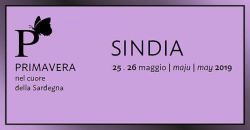 Primavera Nel Cuore Della Sardegna A Sindia - Sindia