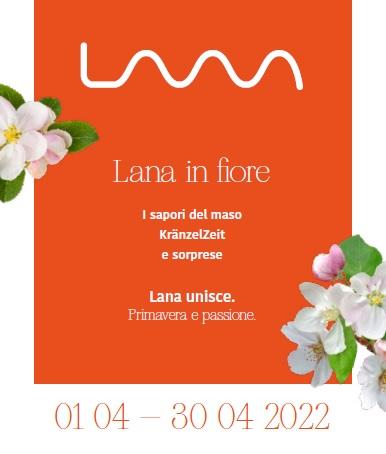Lana In Fiore - Lana