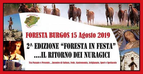 Foresta In Festa A Burgos - Burgos