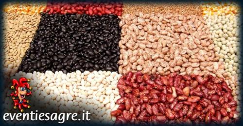 La Sagra Delle Leguminose A Guamaggiore - Guamaggiore