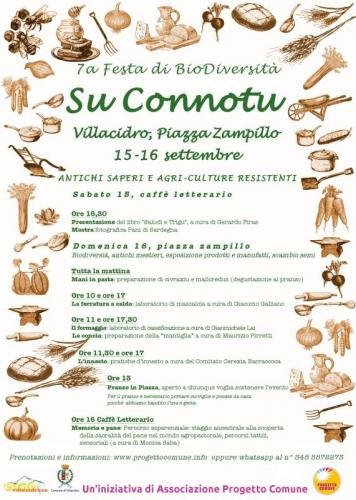 Su Connotu A Villacidro - Villacidro