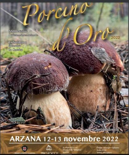 Il Porcino D'oro A Arzana - Arzana