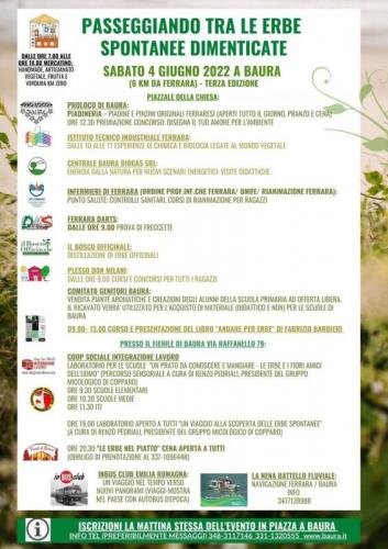 Festa Delle Erbe A Ferrara - Ferrara